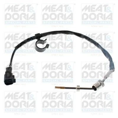 Afbeelding van MEAT &amp; DORIA 12776 Sensoren FORD: Transit Mk7 Van