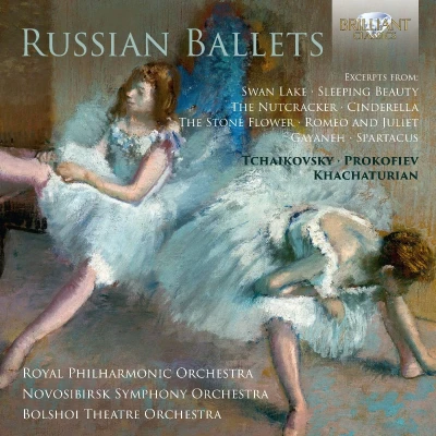 Afbeelding van Royal Philharmonic Orchestra &amp; Novosibirsk Symphony Tchaikovsky: Russian Ballets (3 CD)