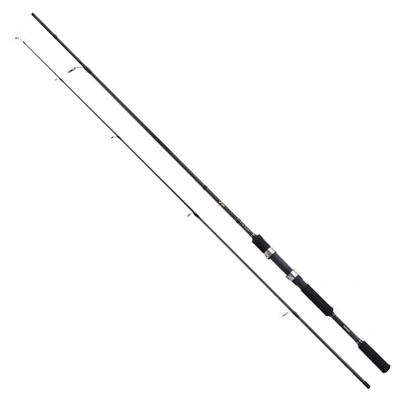 Image de Shimano FX XT 2.70m (14 40g) Spinhengels