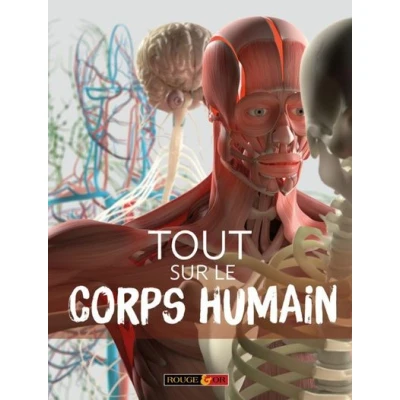 Image de Tout sur le corps humain