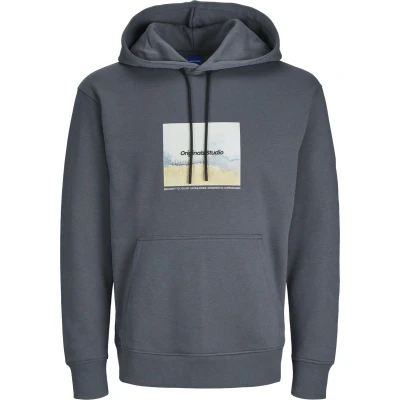 Afbeelding van JACK&amp;JONES JORVESTERBRO NEWTON BOXFRONT SWEAT BF LN Heren Trui Maat S