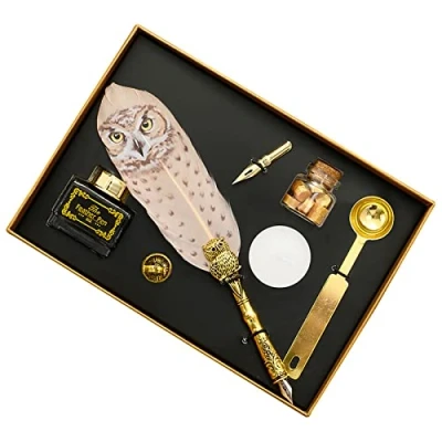 Afbeelding van AOMAYLL vintage kalligrafie inkt en vulpen set, kalligrafieveer (7 stuks) voor beginners, volwassenen kinderen.