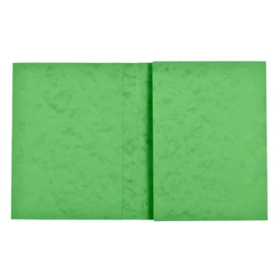 Afbeelding van Exacompta 80x Schriftomslag in glanskarton 265g 24x32 cm Lindengroen 35123E