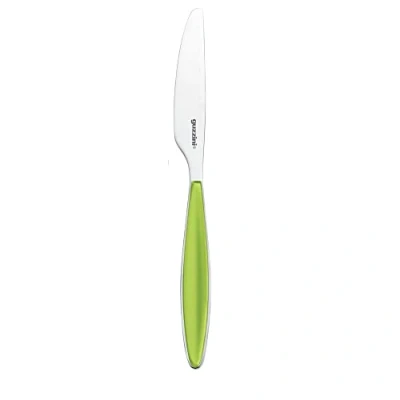 Afbeelding van Guzzini Mes Feeling Appel Groen