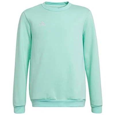 Afbeelding van adidas Performance Entrada 22 Sweatshirt Kinderen Turquoise 128