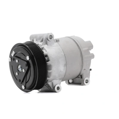 Afbeelding van DELPHI TSP0155829 AC Compressor 5CVC PAG 46 Met compressorolie RENAULT: MEGANE 2, Kangoo I Express