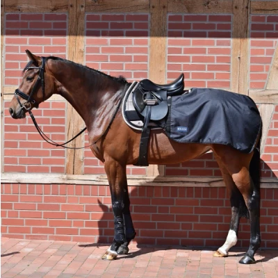 Image de Busse Training rug Rain 50