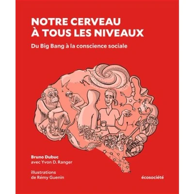 Image de Notre cerveau à tous les niveaux Du Big Bang la conscien