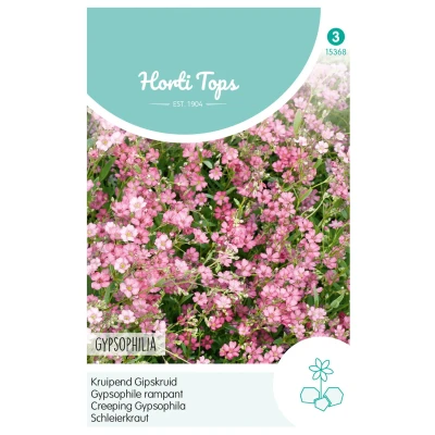Afbeelding van Gypsophila Repens Rose Hortitops
