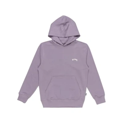Afbeelding van Billabong ARCH Unisex Sweater voor kinderen, Maat: 159 164, Light purple