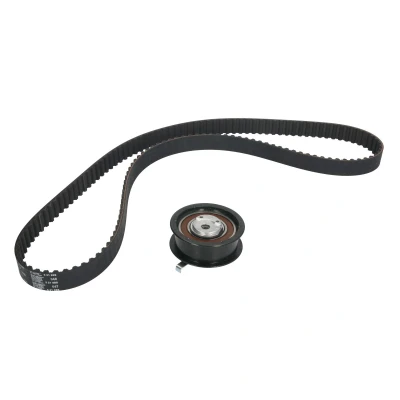 Afbeelding van Ina Distributieriem kit 530 0174 10