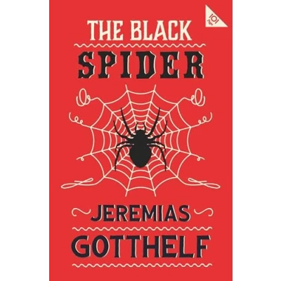 Afbeelding van Alma Classics 101 Pages The Black Spider
