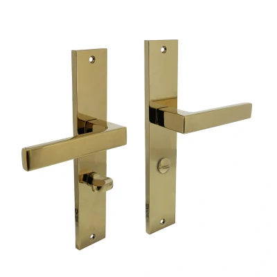 Afbeelding van Intersteel Deurkruk Hera op schild 245x45 mm WC63/8 messing titaan PVD