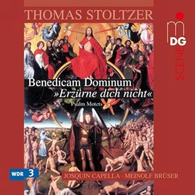 Afbeelding van Josquin Capella Psalm Motets (CD)