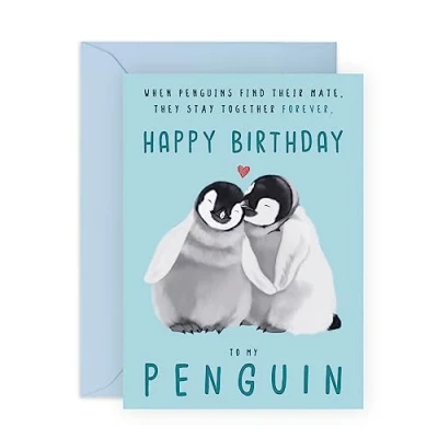 Afbeelding van Central 23 verjaardagskaart voor vriendje, verjaardagskaarten vriendin, vrouw van echtgenoot, pinguïncadeaus hem en haar, levering met grappige stickers, blanco