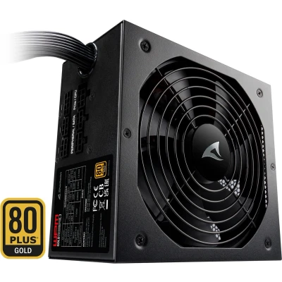 Afbeelding van Power supply Sharkoon 4044951026555 650 W 110 80 Plus Gold ATX