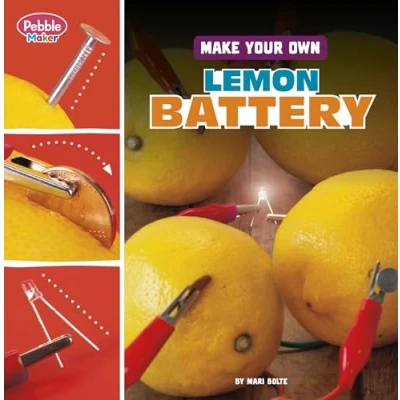 Afbeelding van Pebble Maker Science Make Your Own Lemon Battery