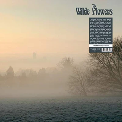 Afbeelding van The Wilde Flowers (LP) (Remastered)