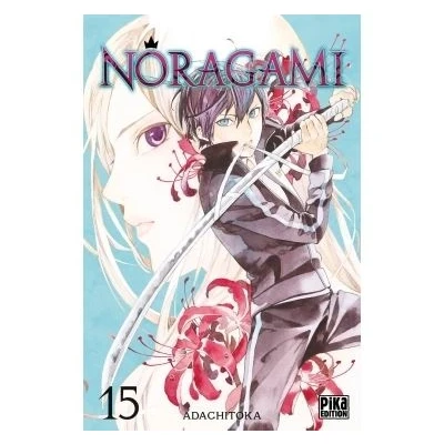 Image de Noragami T15