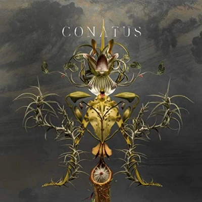 Afbeelding van Joep Beving Conatus (2 LP)