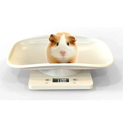 Afbeelding van Aceshop Digitale weegschaal voor dieren met lcd display, 4 gewichtsmodi (oz/ml/lB/g) en keuken, het meten van katten, honden, voedsel, capaciteit tot 10 kg