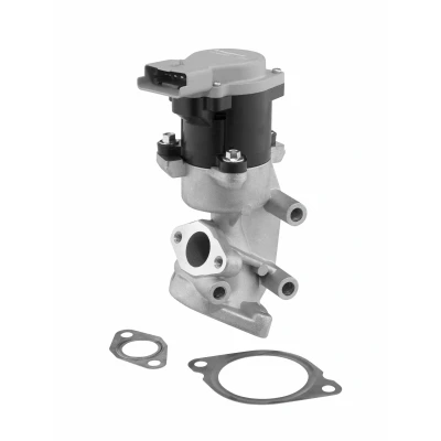 Afbeelding van WAHLER 710984D EGR klep Electrisch LAND ROVER: Range Rover Sport