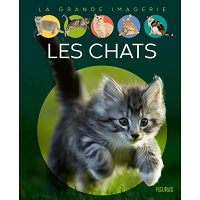 Afbeelding van 100 infos a connaitre: Les Chats