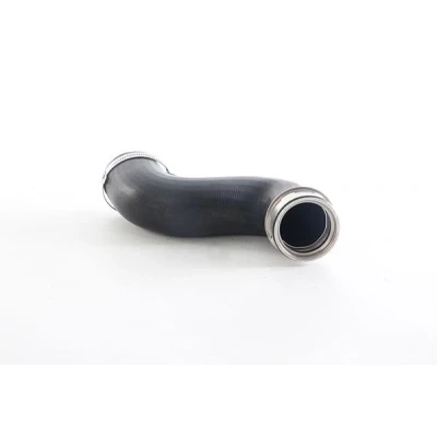 Afbeelding van BSG Laadlucht /turboslang 60 720 027