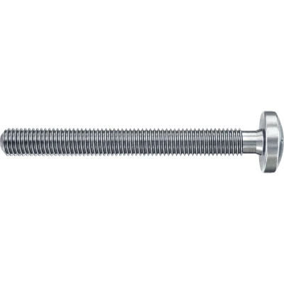 Afbeelding van Fischer DuoHM 6x55 S PH TX Hollewandplug 55 mm 572925 25 stuk(s)