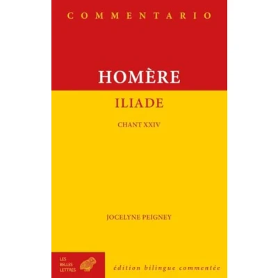 Afbeelding van ILIADE CHANT XXIV