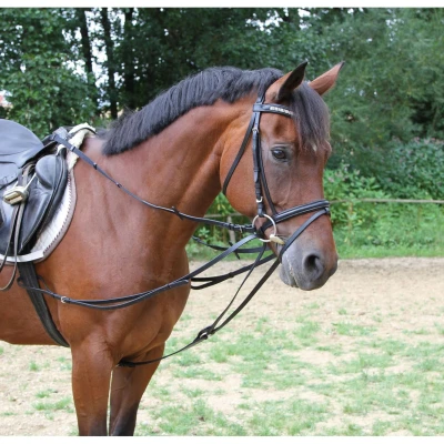Afbeelding van Kerbl Driehoeksteugel Zwart Pony
