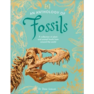 Afbeelding van DK Little Anthologies An Anthology of Fossils