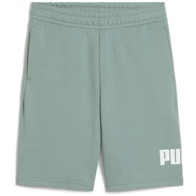 Afbeelding van PUMA ESS No. 1 Logo Shorts TR B Jongens sportbroek Green Moon