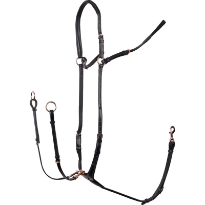Afbeelding van Harry&#039;s Horse Borsttuig Rosegold Zwart Full