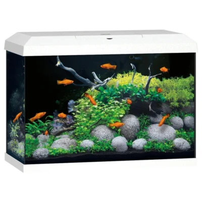 Afbeelding van Juwel Aquarium Primo 70 2.0 62x32x41 cm Aquaria Wit Ca. L