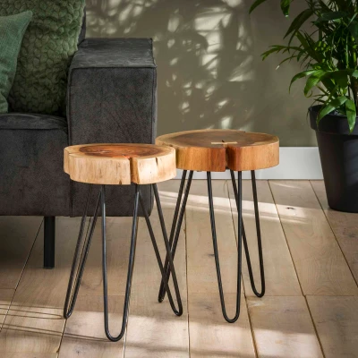 Afbeelding van Hoyz Collection Bijzettafel Stam Ø32cm Set van 2 Bruin Hout