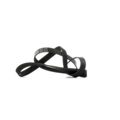 Afbeelding van Blue Print Poly V riem AD07R1687