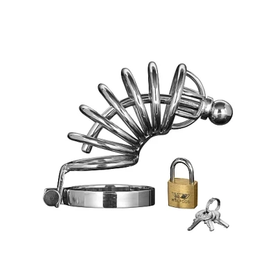 Afbeelding van Asylum Locking Kuisheidskooi met slot (M/L)