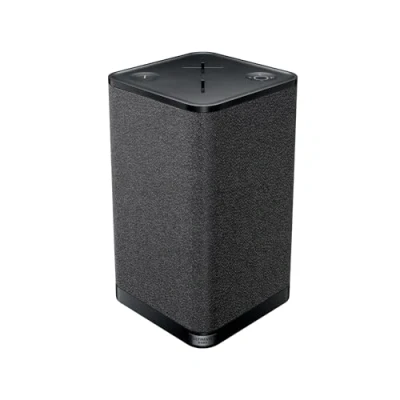 Afbeelding van Ultimate Ears Hyperboom Zwart