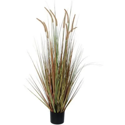 Afbeelding van Mica Decorations Pluimgras Dogtail Kunstplant H120 x Ø45 cm