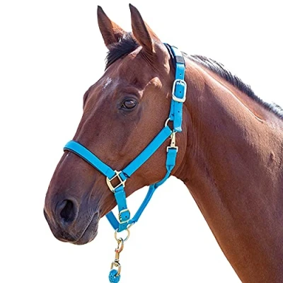Afbeelding van Shires Halster Topaz Nylon Blue Full