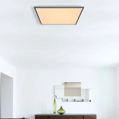 Afbeelding van Doro plafondlamp, lengte 59 cm, wit/grafiet, aluminium