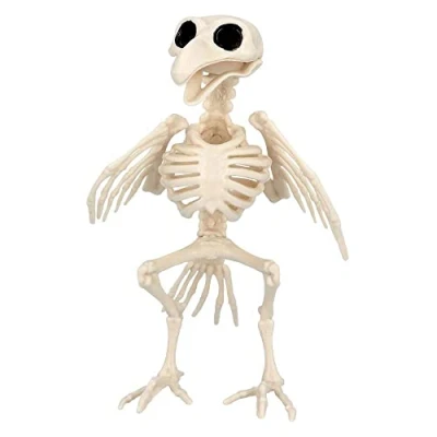 Afbeelding van Boland Vogelskelet Horror