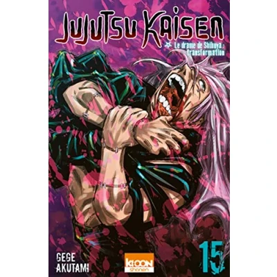 Afbeelding van JUJUTSU KAISEN,15