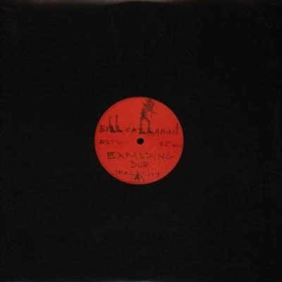 Afbeelding van Bill Callahan Expanding Dub (Single)