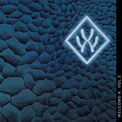 Afbeelding van Welcome X Volume 2 (CD)