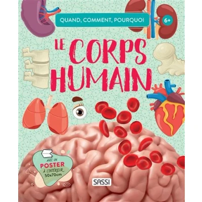 Image de Quand, comment, pourquoi Le corps humain