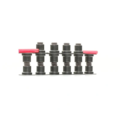 Afbeelding van CORTECO 19036006 Klepsealset FPM (Fluor Kautschuk) PEUGEOT: 307 Hatchback, 206 406 Coupe, CITROËN: Xsara Hatchback