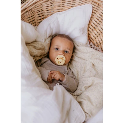 Afbeelding van BIBS Colour Fopspeen Anatomisch Ivory / Sage 0 6 maanden Duopack
