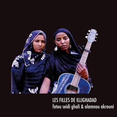 Afbeelding van Les Filles De Illighadad (CD)